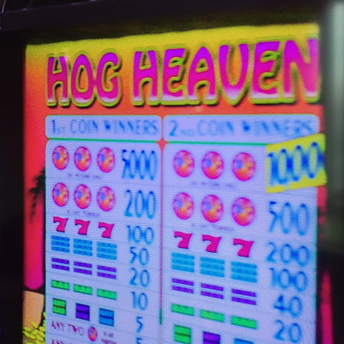 Hog Heaven slot machine